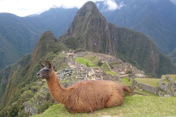 Machu Picchu Full Day Tour - Highlights of the Machu Picchu Experience