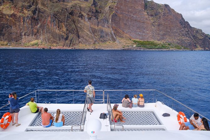 Madeira Dolphin and Whale Watching on a Ecological Catamaran - Wildlife Sightings