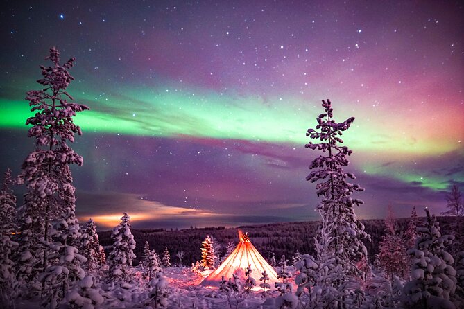 Northern Lights Wilderness Small-Group Tour From Rovaniemi - Capturing the Moment With Complimentary Photos