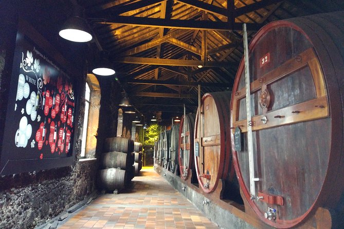 Port Wine Lodges Tour Including 7 Port Wine Tastings (English) - Port Wine Education