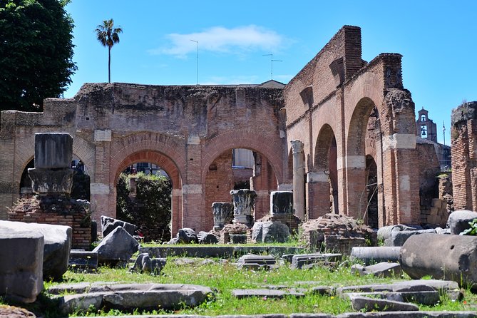 Rome: Colosseum, Palatine Hill and Roman Forum Tour - Navigating the Roman Forum