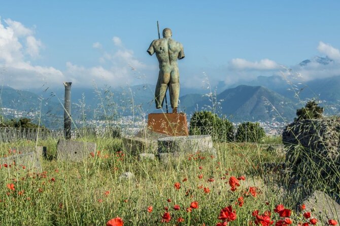 Rome to Pompeii Guided Tour With Wine & Lunch by High Speed Train - Important Considerations