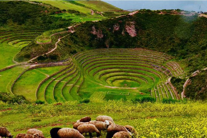 Sacred Valley With Maras-Moray Group Tour - Transportation and Logistics