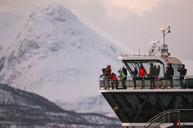 Silent Whale Watching - Capturing Memories and Moments