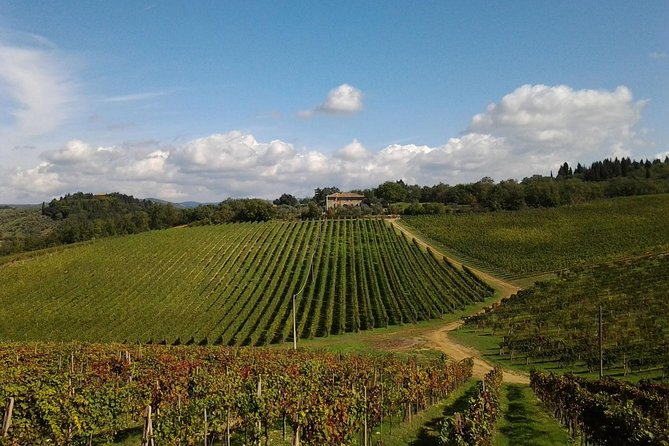 Small-Group Wine Tasting Experience in the Tuscan Countryside - Scenic Drive Through the Tuscan Countryside