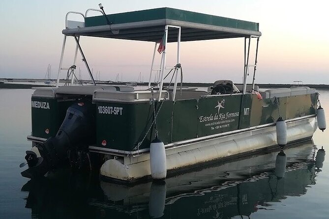 Sunset Tour | Ria Formosa - From Faro - Encounter With Wildlife