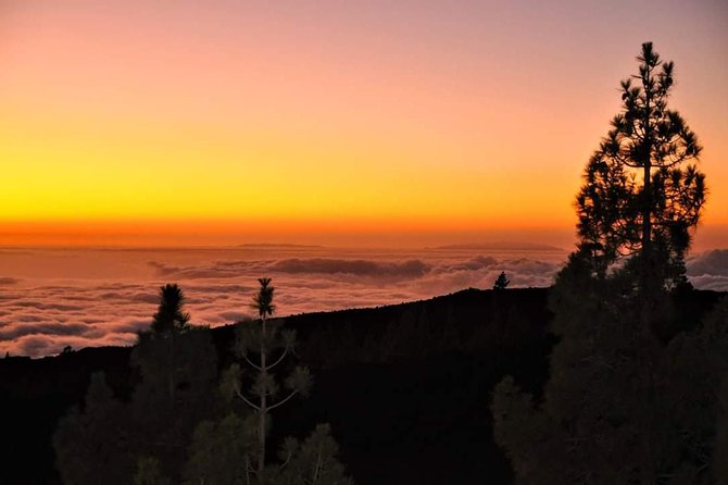 Teide National Park Sunset & Stargazing With Dinner (Star Safari) - Stargazing Experience and Telescopes