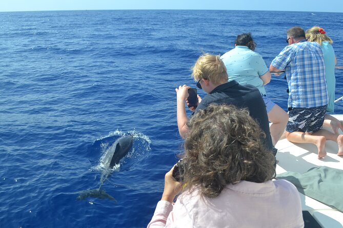 VipDolphins Luxury Whale Watching - Swimming and Snorkeling at Cabo Girao