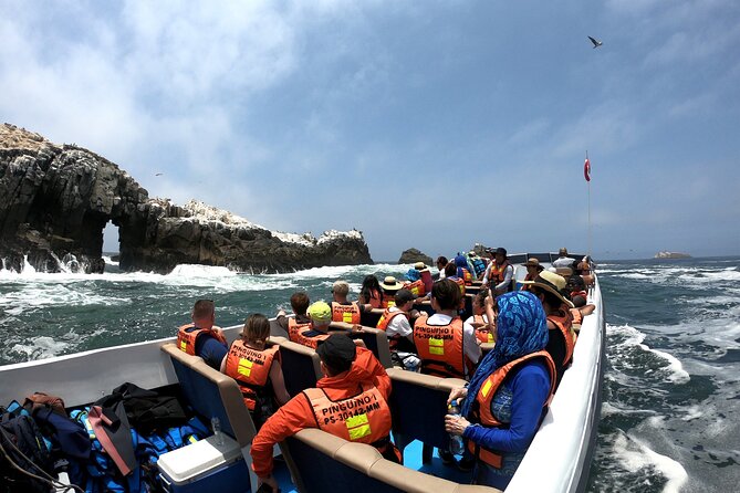 Visit the Sea Lions in Palomino Islands, in Lima Peru - Traveler Reviews and Feedback