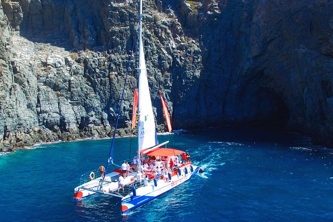 Whales Listening Eco-Catamaran Tour With Food Tasting - Customer Feedback