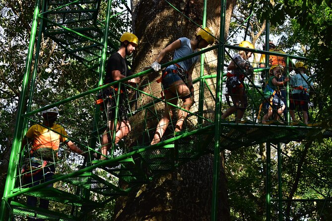 Zipline at Skyline Canopy Tour Guanacaste Costa Rica - Pricing and Booking Options