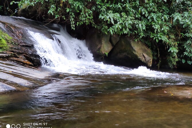 4x4 Jeep Waterfalls and Alambique Complete Paraty by Jango Tour - Considerations for Booking