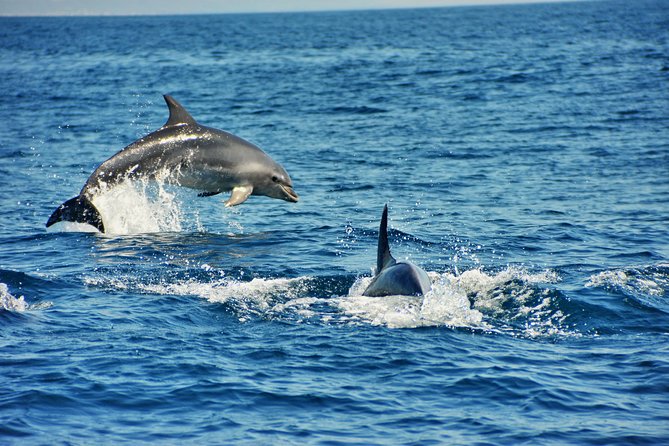 Albufeira Dreamer Boat Trip - Safety and Crew