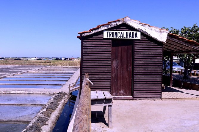 Aveiro and Costa Nova Half Day Tour From Porto With Boat Ride - Customer Feedback and Recommendations