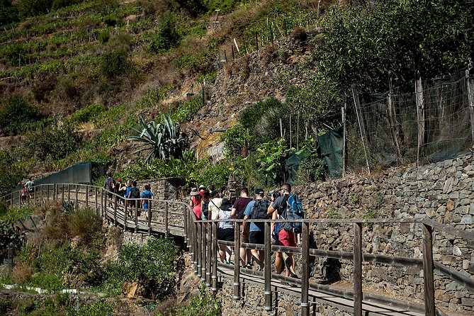 Cinque Terre Day Trip From Florence With Optional Hiking - Itinerary and Activities