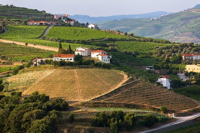 Douro Valley Tour: Wine Tasting, Cruise and Lunch From Porto - Accessibility and Age Restrictions