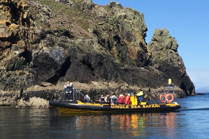 Exhilarating Rib Experience - Dingle Sea Safari - Customer Feedback and Recommendations