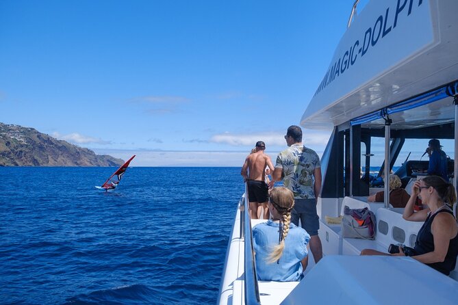 Madeira Dolphin and Whale Watching on a Ecological Catamaran - Guest Feedback and Recommendations