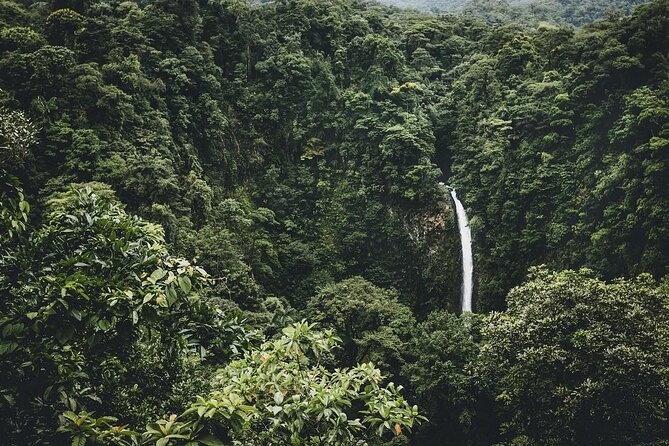 Arenal 12 Zipline Cables Experience Fly Over La Fortuna Waterfall - Key Points