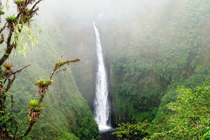 Arenal Volcano Experience Full-Day Tour From San Jose - Key Points