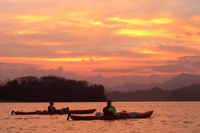 Bioluminescent Kayak Tour - Meeting and Logistics