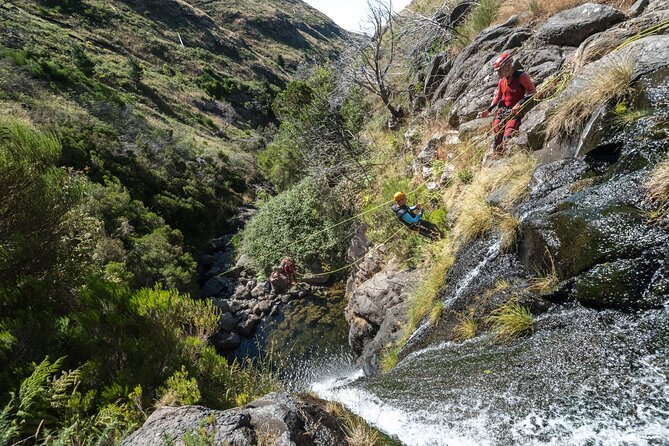 Canyoning in Madeira: Ideal for Beginners and Families - Overview and Experience