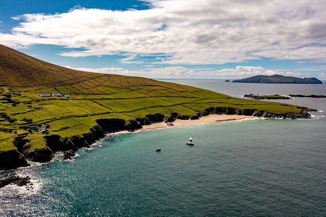 Dingle Dolphin Blasket Adventures - Key Points