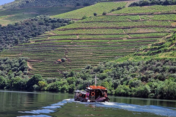 Douro Valley-Expert Guide-Boat-Lunch-Tastings Premium Service - Key Points