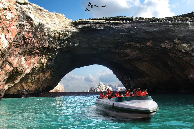 Full Day Tour From Lima: Ballestas Islands and Paracas Reserve - Overview of the Tour