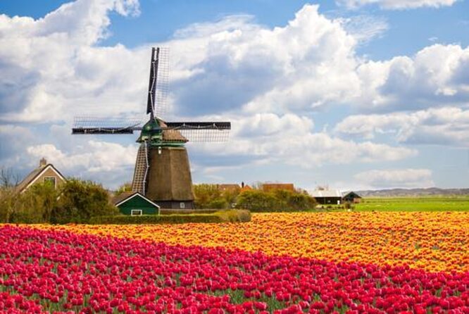 Giethoorn, Afsluitdijk, Zaanse Schans Day Tour Incl Hotel Pick Up - Key Points