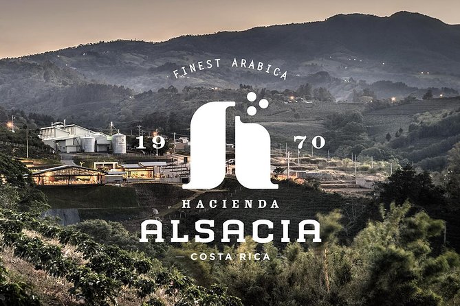 Hacienda Alsacia Starbucks Coffe Tour - Key Points