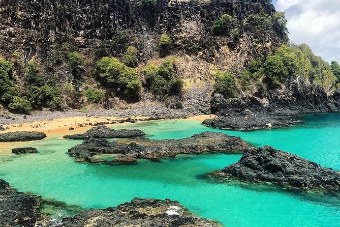 Island Tour in Fernando De Noronha - Tour Overview