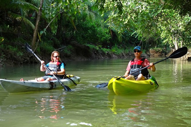 Mangrove Kayak Tour | Manuel Antonio - Key Points