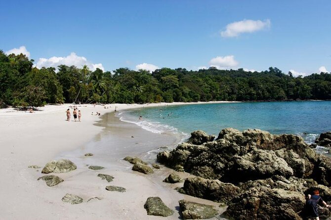 Manuel Antonio National Park Guide Tour - Key Points