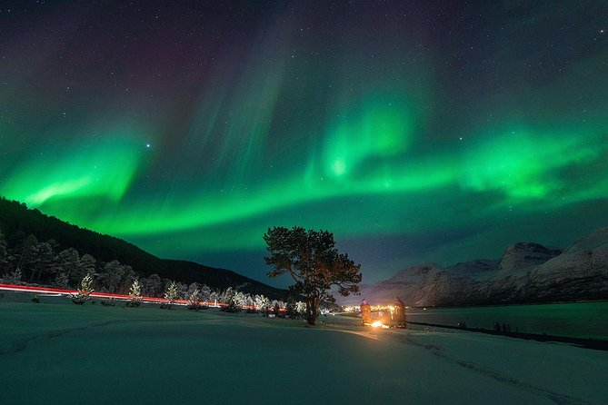 Northern Lights Minibus Chase From Tromso - Overview and Details