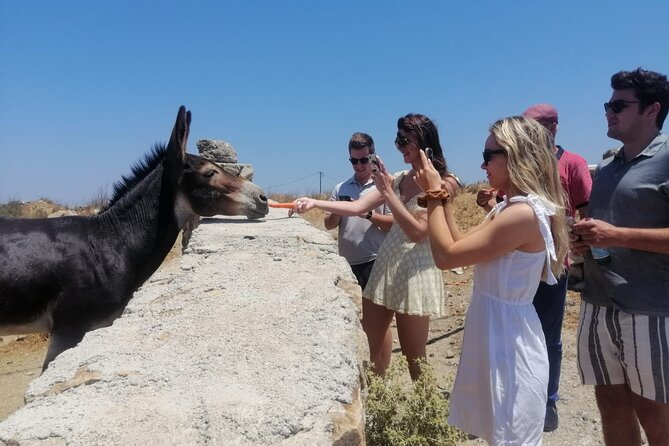 Small-Group Half-Day Tour in Mykonos - Tour Overview