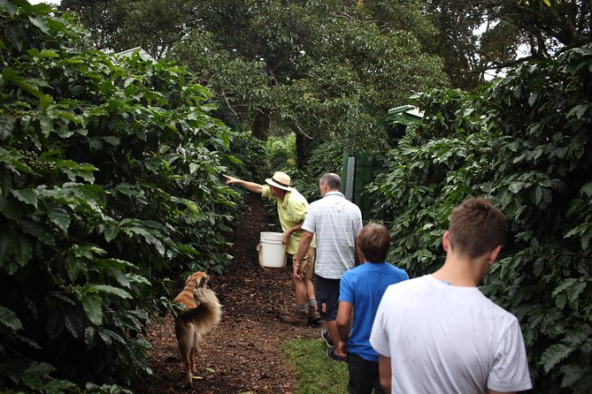 Small, Hands-on Coffee Tour - Key Points