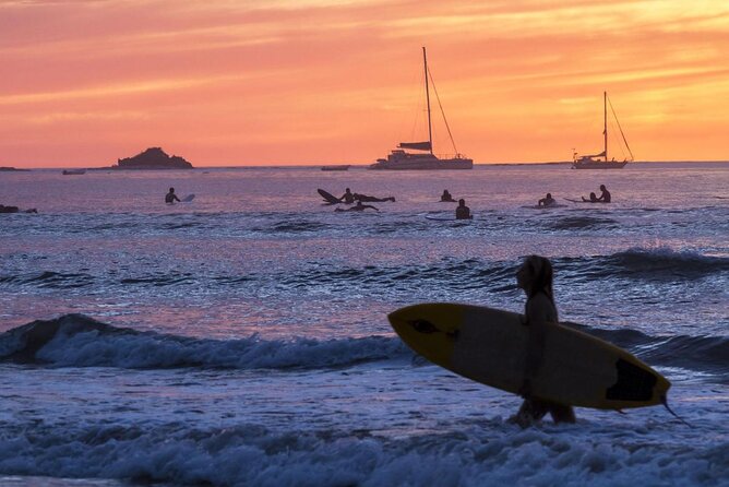 Tamarindo Estuary Boat Safari - Key Points