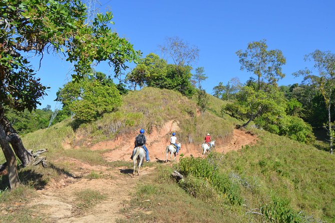 Typical Ranch Don Juan, Horseback Riding Tour - Key Points