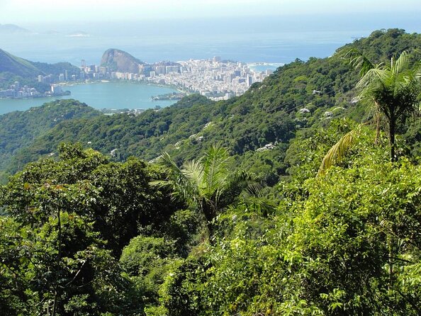 Visit the Best Spots in Tijuca Forest - Hike to Caves & Falls - Key Points