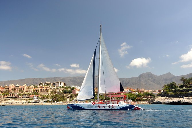 Whales Listening Eco-Catamaran Tour With Food Tasting - Key Points