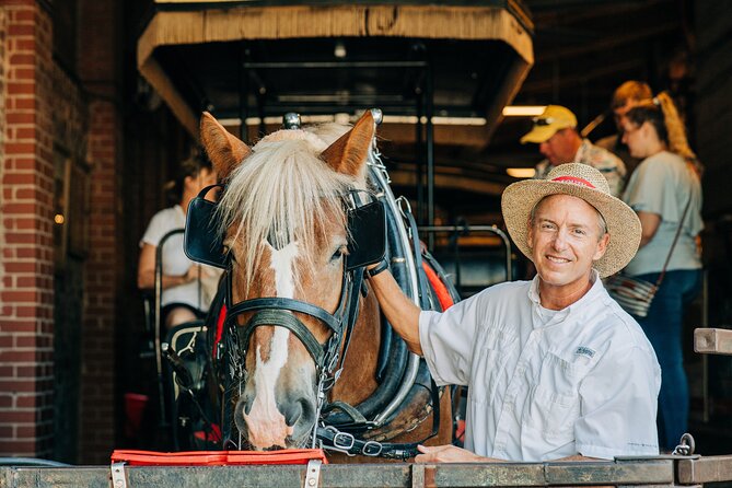 Charleston's Old South Carriage Historic Horse & Carriage Tour - Historical Significance and Highlights