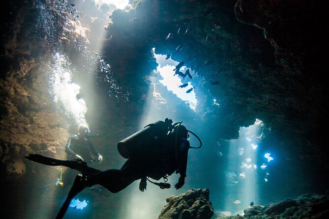 2 Tank Lanai Cathedral Scuba Dive Via Boat for Certified Divers - Key Points