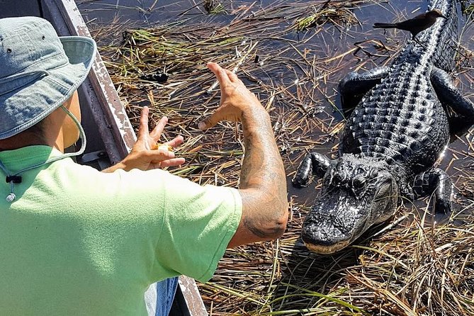 1-Hour Air Boat Ride and Nature Walk With Naturalist in Everglades National Park - Inclusions