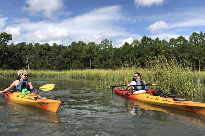 2-Hour Guided Kayak Eco Tour in Charleston - Kayaking Experience