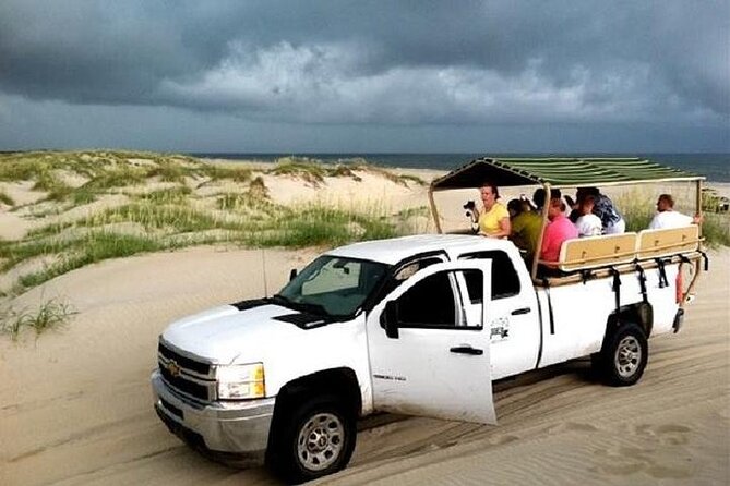 2-hour Outer Banks Wild Horse Tour by 4WD Truck - Wild Horses and Conservation Area