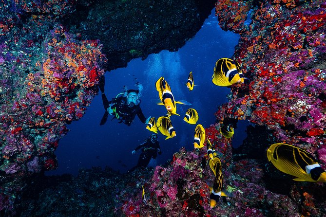 2 Tank Lanai Cathedral Scuba Dive Via Boat for Certified Divers - Dive Details