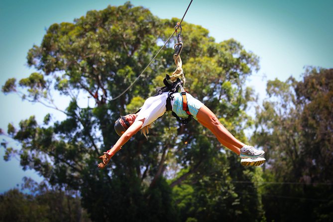 7-Line Maui Zipline on the North Shore - Learning and Guides