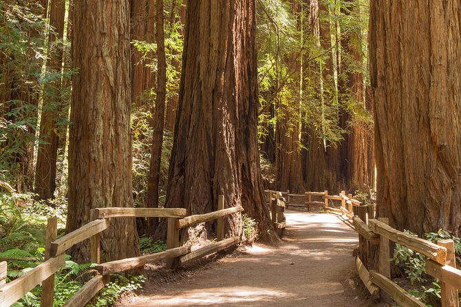 Alcatraz With Muir Woods and Sausalito Tour - Accessibility and Participation