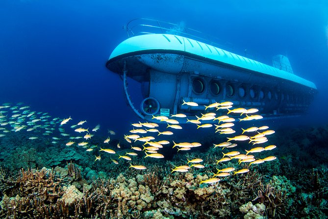 Atlantis Submarine From Kona Beach - Exploring the Underwater World